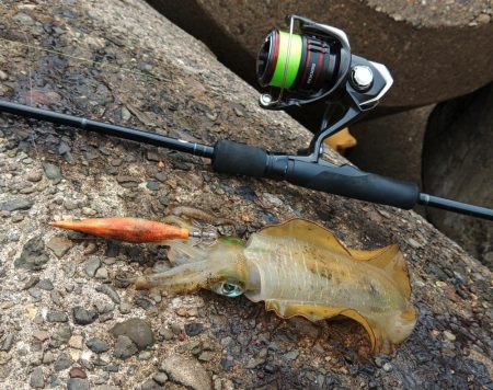 エギング秋シーズン開幕！